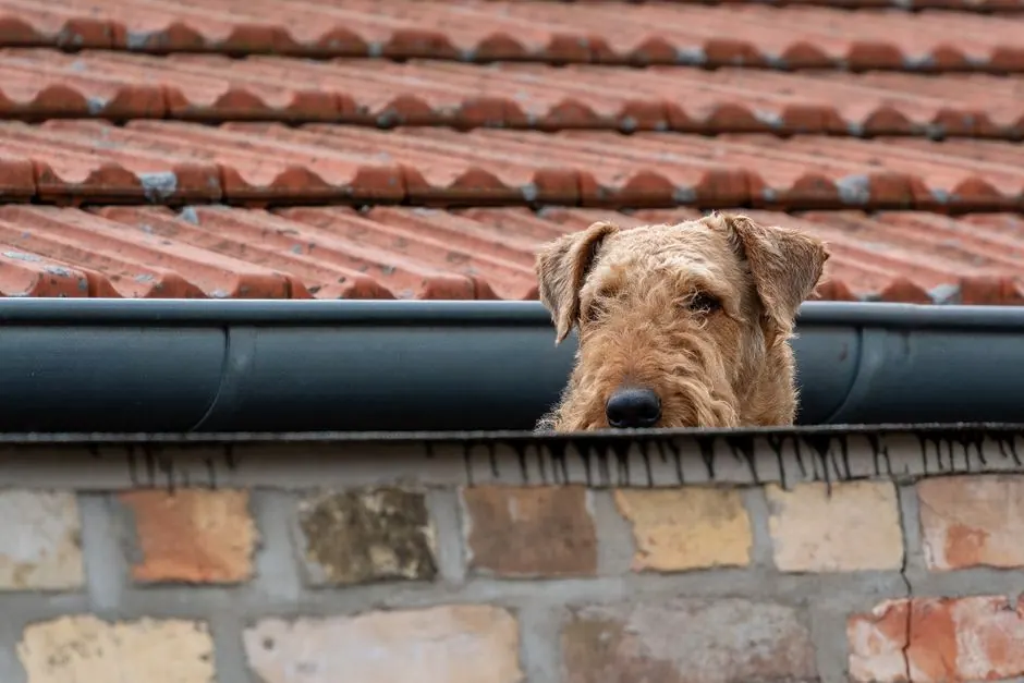 Gutter Guard Installation