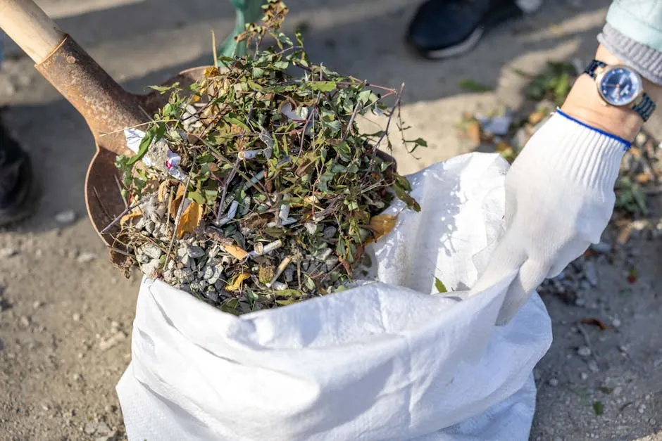 Debris Removal